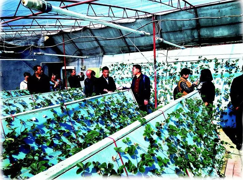 农闲时节充电拓宽致富渠道,农闲时节赚钱忙