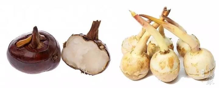 夜深知雪重读音,夜深知雪重完整版