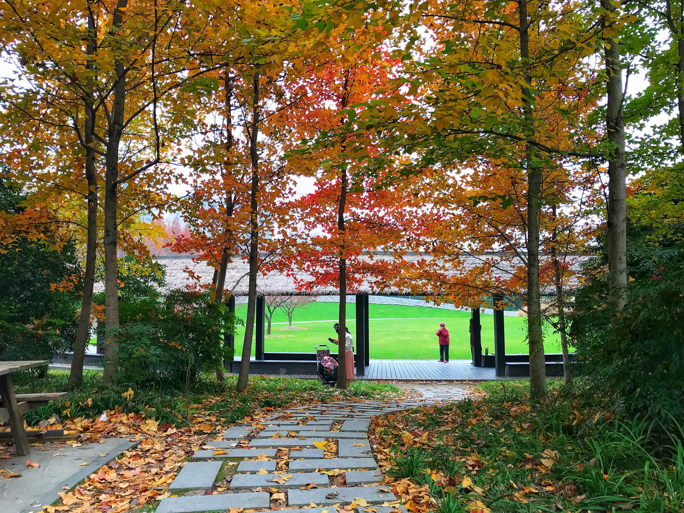 上海浦东世纪公园秋季,上海浦东新区世纪公园