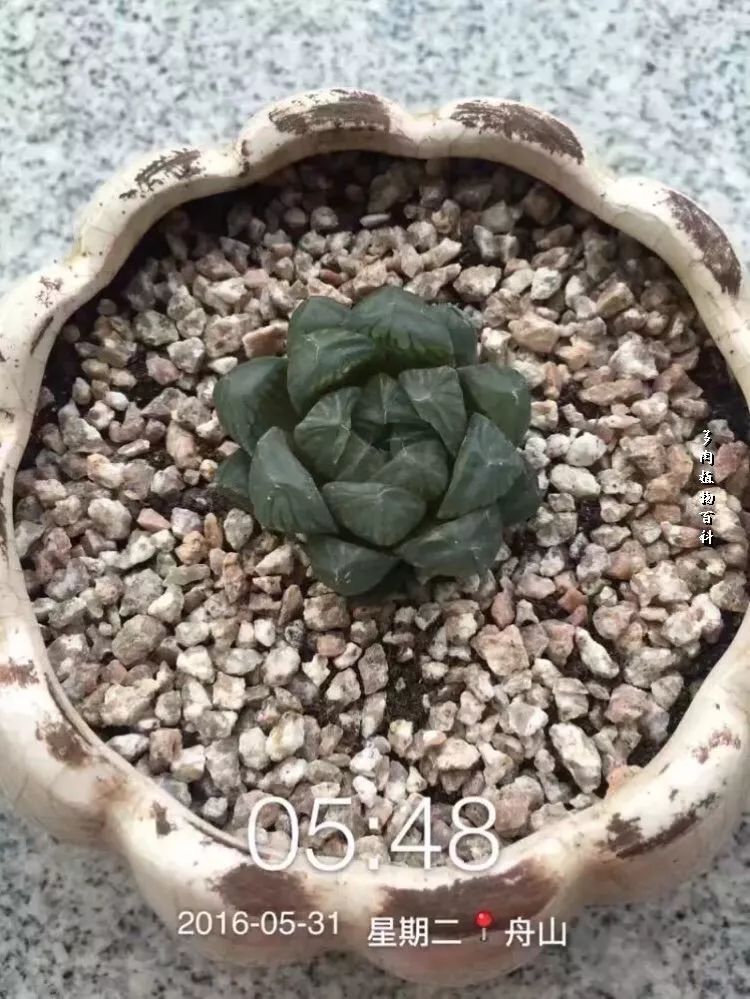 家有3姐妹,家有三姐妹好幸福