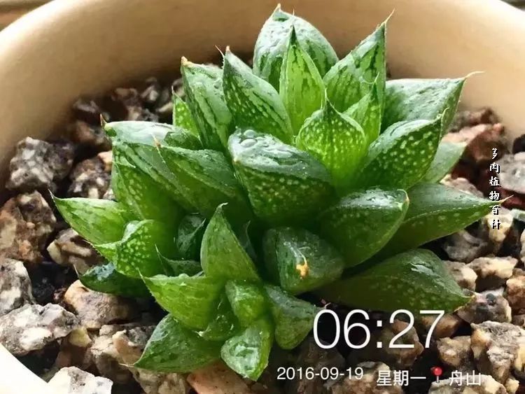 家有3姐妹,家有三姐妹好幸福