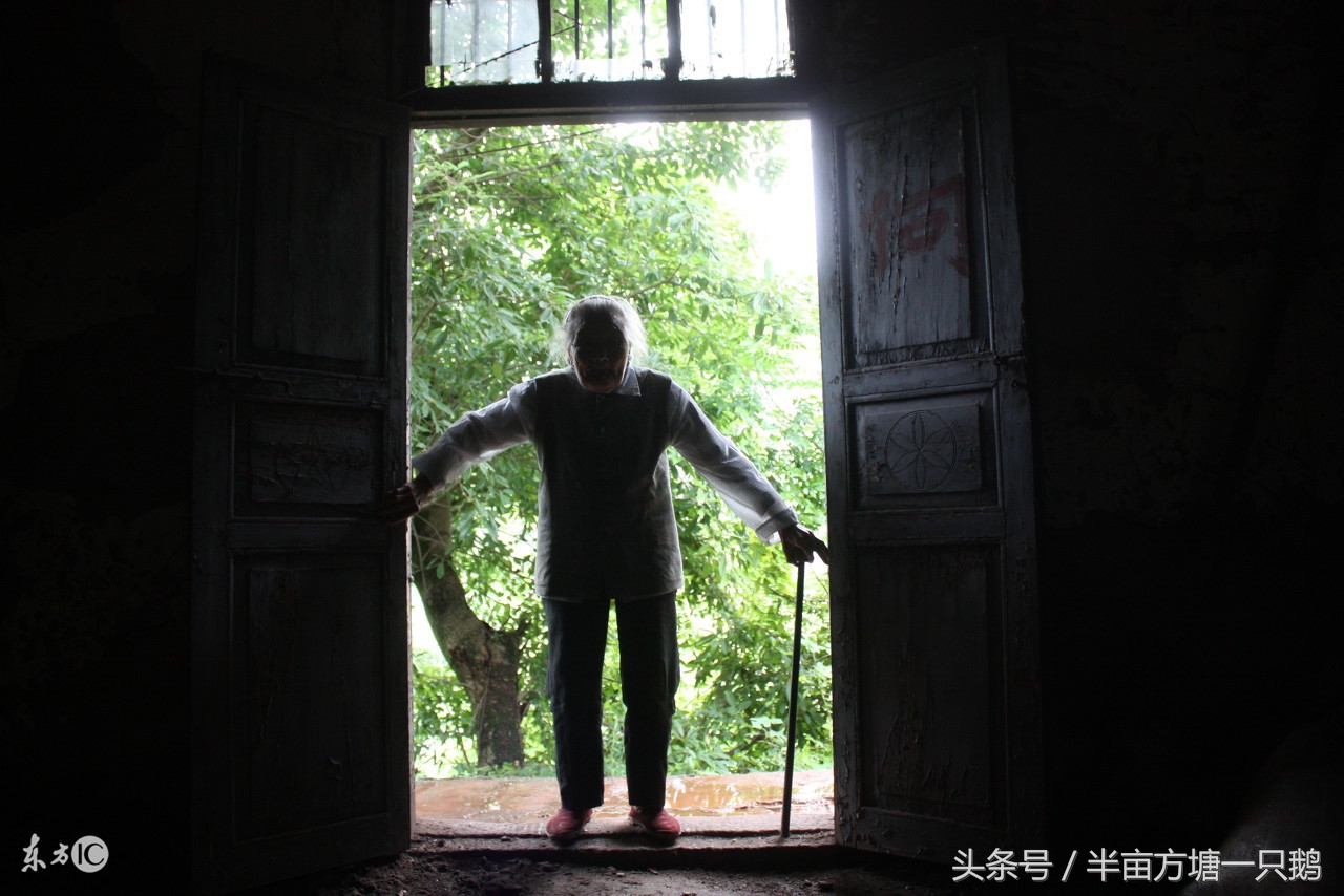 古代诗词（十七）白发归乡，故人不知，故土难留，岁月无存