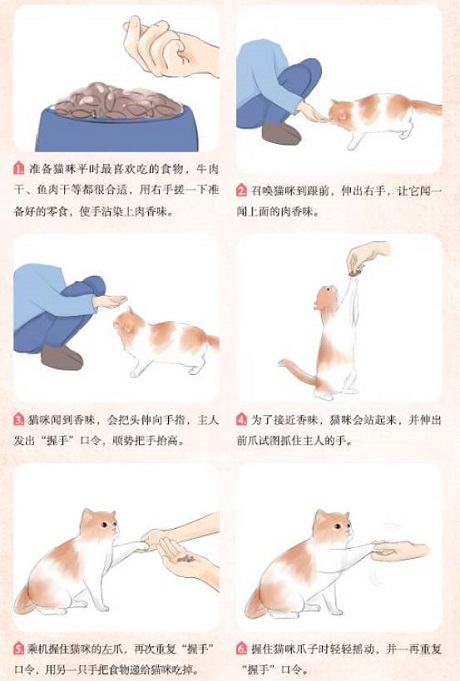 这都不知道，还敢说你会养猫？