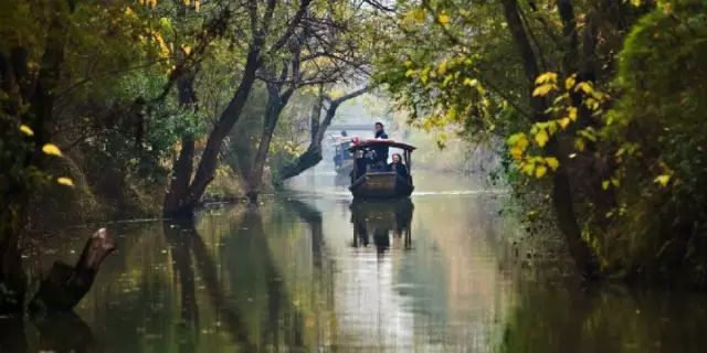 滴滴女司机开民宿,滴滴转民宿