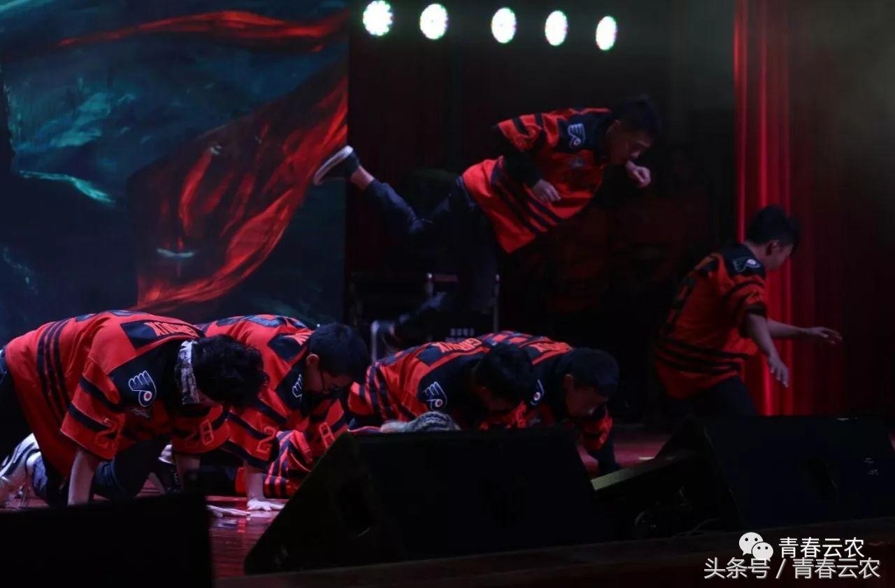 社团嘉年华会场,社团嘉年华图片大全