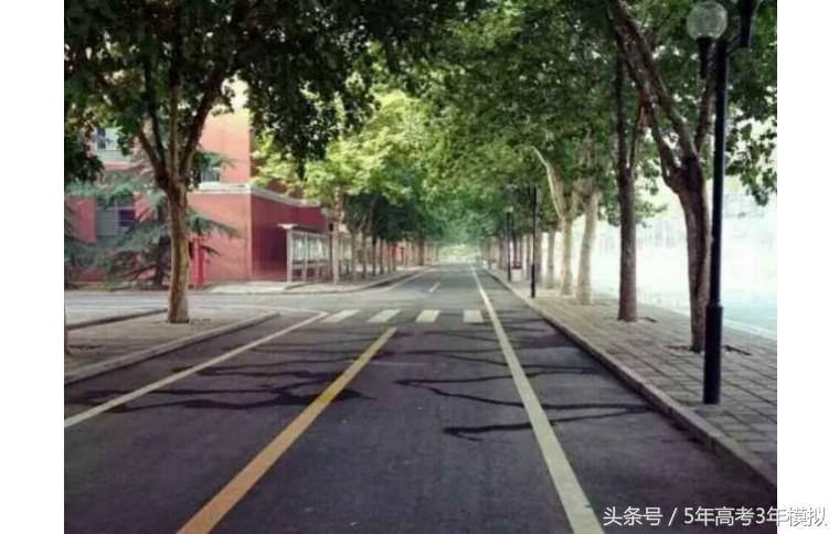 河南最牛逼的高中前十,河南省第一名是哪个高中