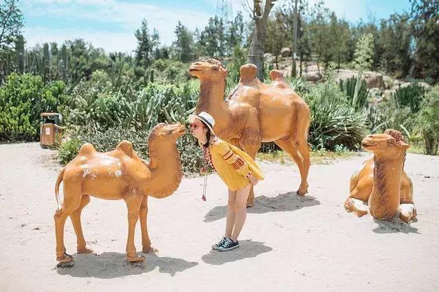 厦门旅游自由行攻略,厦门自由行旅游攻略