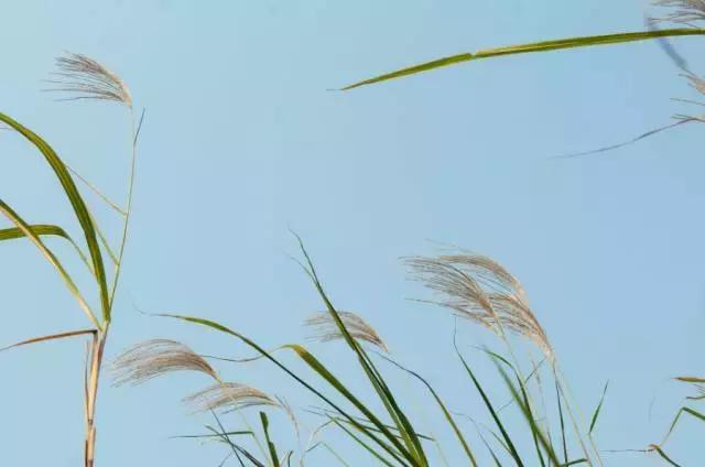 武汉地铁2号线有什么玩的,武汉哪条地铁线最方便