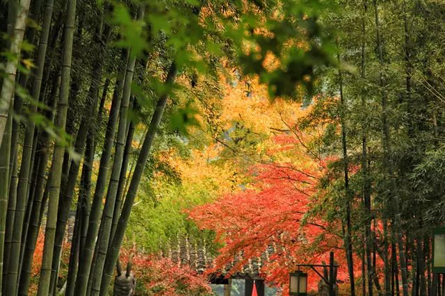 滴滴女司机开民宿,滴滴转民宿
