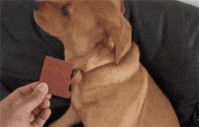 先等下，我吃块巧克力减个肥再跟你们说