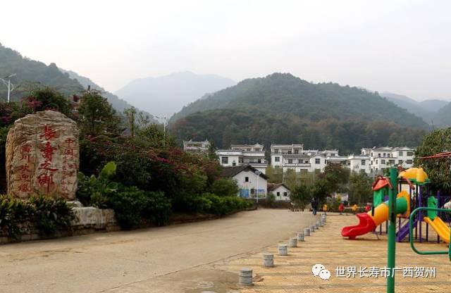 脱贫大变化美丽乡村展新颜,脱贫乡村翻天覆地的变化