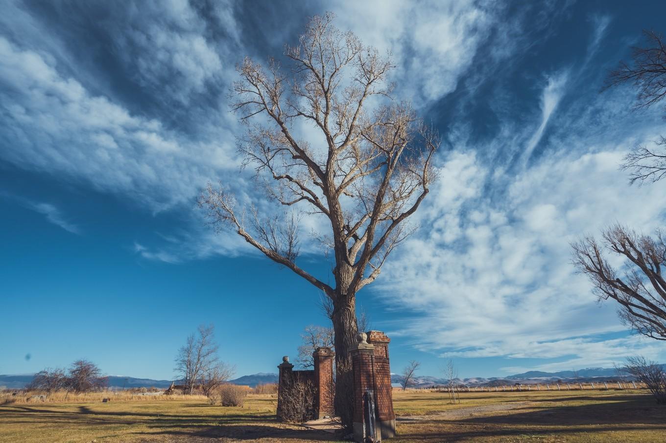 鍐呭崕杈惧窞鑻辨枃姝屾洸,鍐呭崕杈惧窞鐨勬瓕