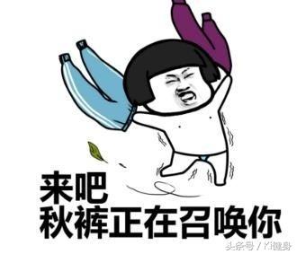 运动补剂营养方法,如何正确选择运动补剂