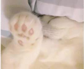 全屋家具尺寸标准大全,装修小白必看的家具尺寸客厅篇