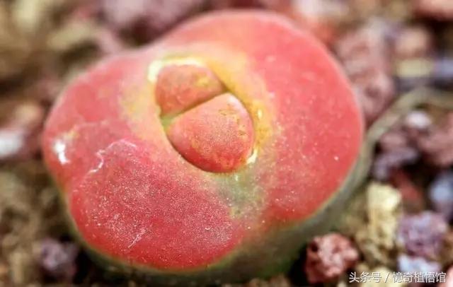 那些年，让*欲人**罢不能的屁屁！美呆了！