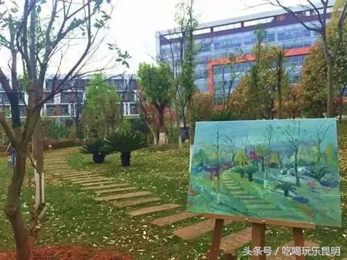 昆十中学校怎么样,昆十中文科实力