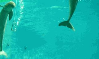 国外ktv都是中国人开的吗,国外的ktv风格