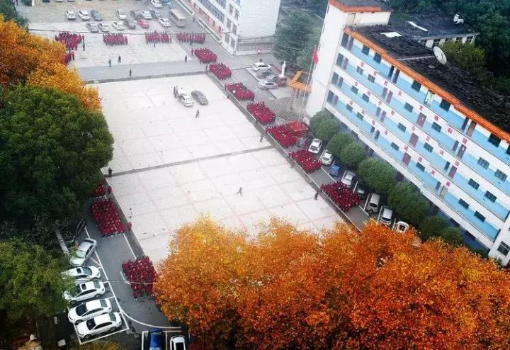 江西省上栗中学排名,江西省教育厅上栗中学