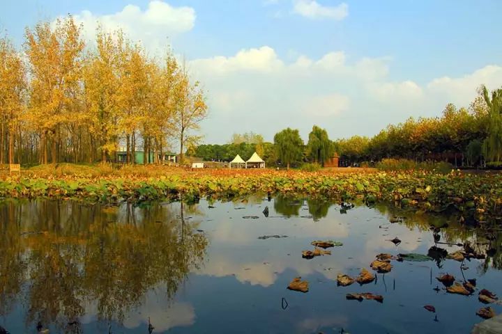 浦东头条新闻,浦东新区新闻头条最新