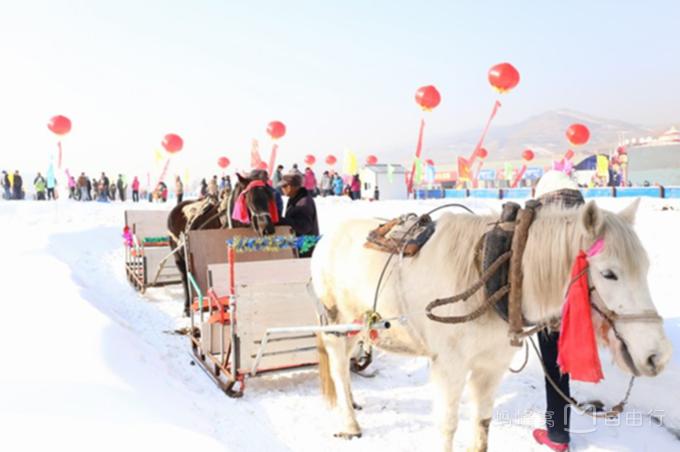 漠河包车旅游攻略,漠河北极村旅游包车