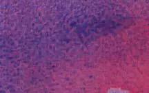 水彩调色技巧十种方法,水彩调色方法和技巧干货