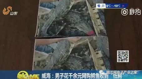 女人上辈子都是福尔摩斯吗,每一个女人都有当福尔摩斯的潜质