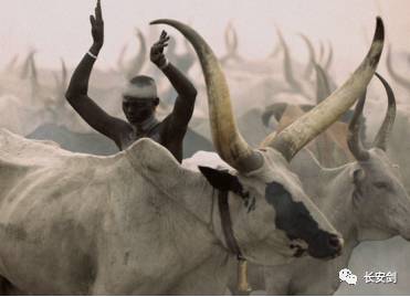 3分钟法治新闻全知道,法治新闻三分钟全知道