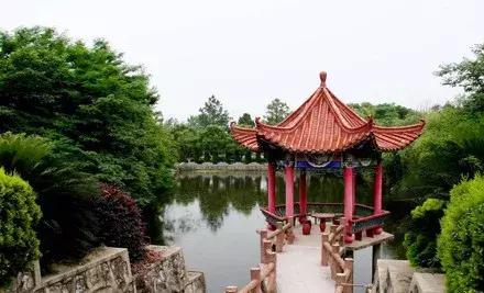 武汉周边果园采摘攻略,武汉5月份可以采摘的采摘园