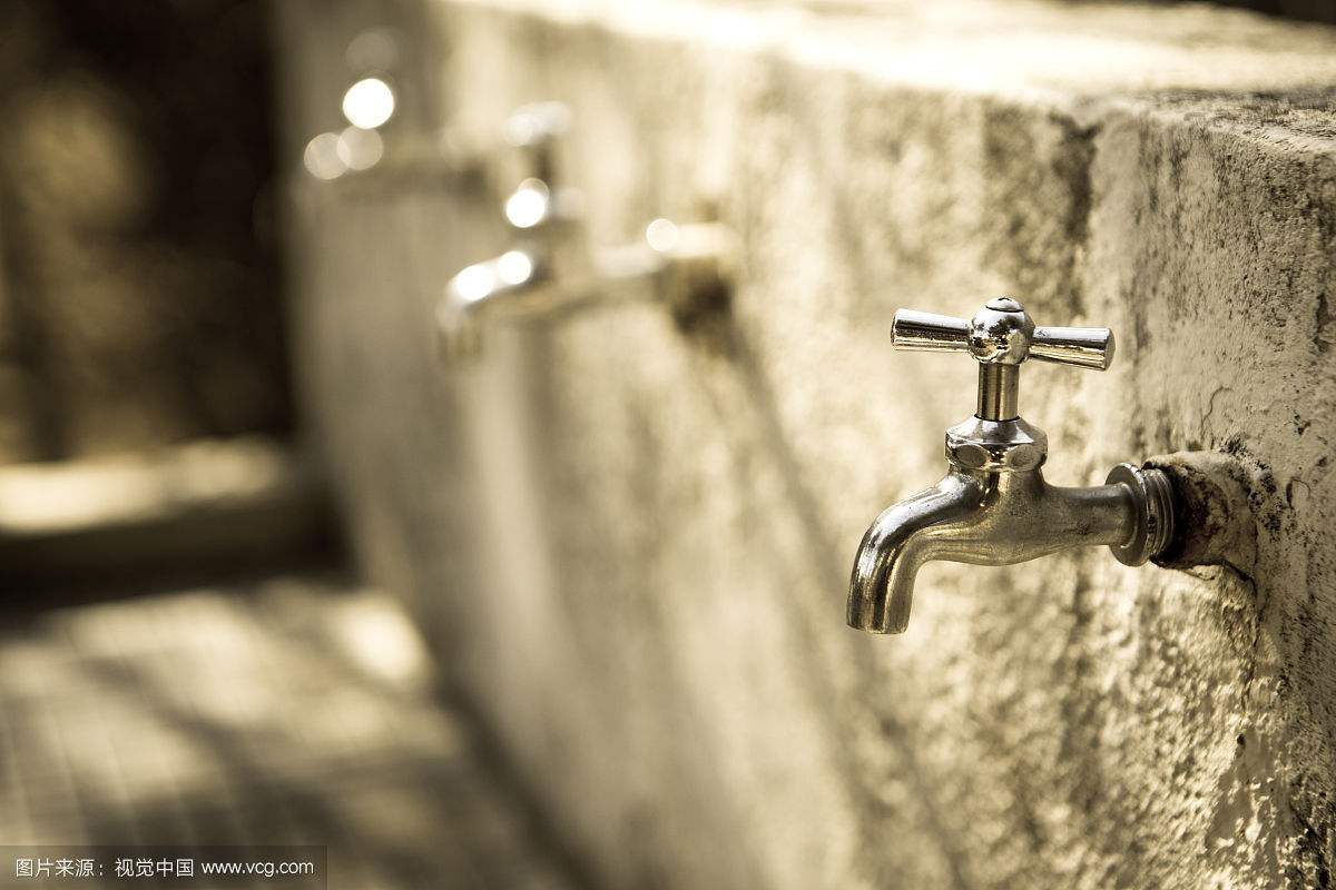 首发：长篇小说《天堂鸟》连载一