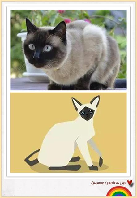 猫咪插画手绘图片,各种猫咪萌化图片