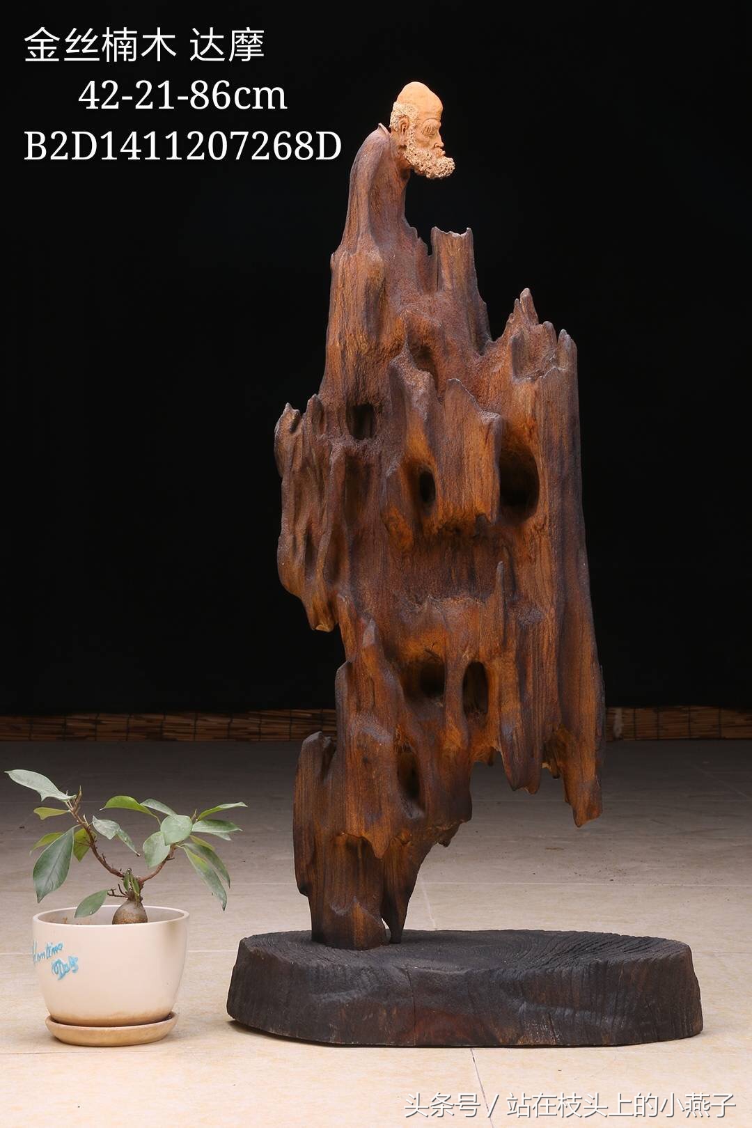 达摩面壁九年一朝得道,达摩面壁九年醒来第一句说了什么