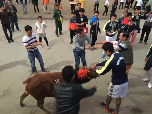 为什么足球分现代和古代,为什么说足球最早起源于中国