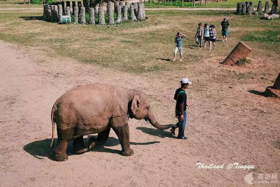 旅游攻略泰国免费,攻略带你了解最美的泰国景点