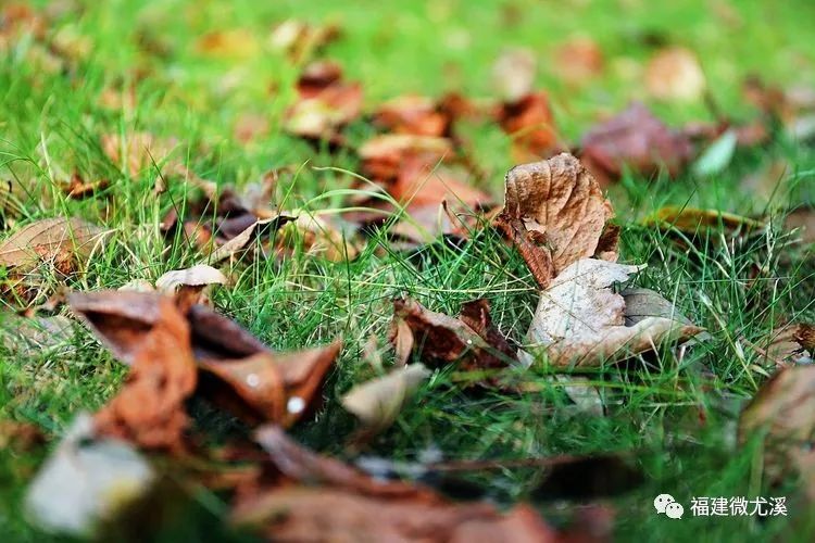 尤溪夏天旅游,关于尤溪的风景介绍