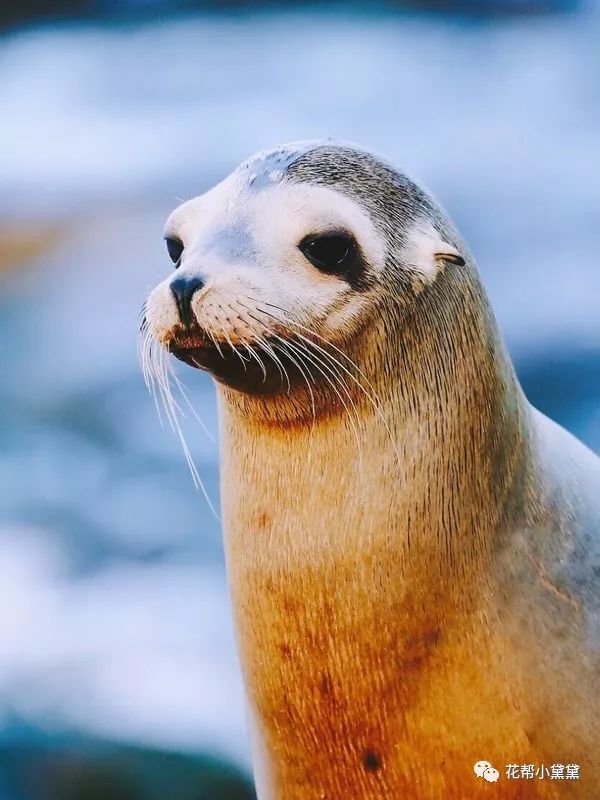 时髦旅拍神器｜玩转美国这个城市看这一篇就够了私房路线干货