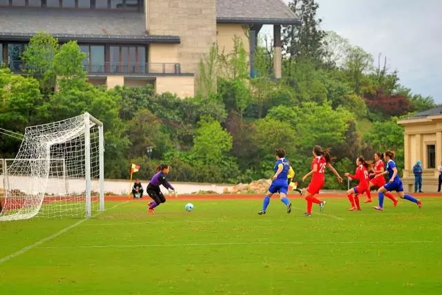 桐庐县出了几个奥运冠军,一个体育冠军国家奖励