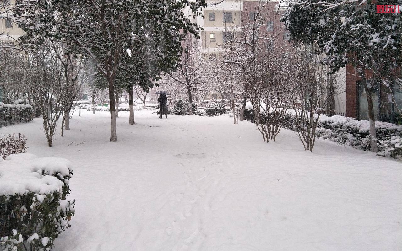 thenorthface性价比最高单品,thenorthface是什么牌子