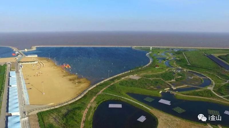 「围观」如果用一个字形容2017年的金山，你们会是什么字？