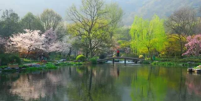 杭州自然现象,西湖十大奇怪现象