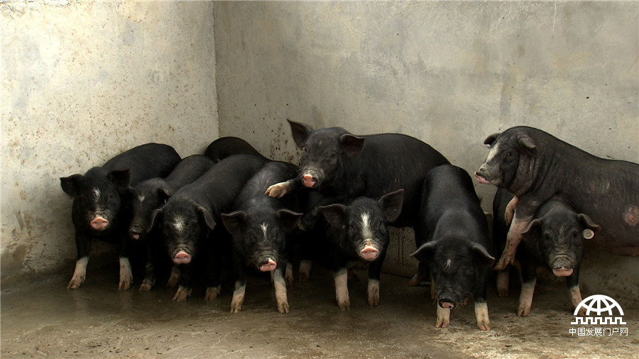 致富经:爱冲动小伙的财富逆袭