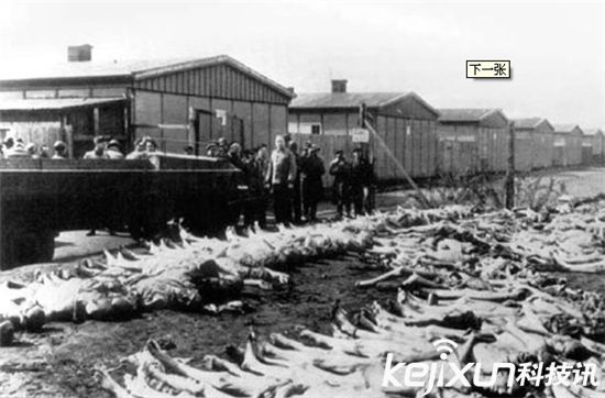 死海羊皮卷之谜,犹太人真相大揭秘