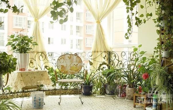 风水师傅实地看风水,风水罗盘看风水