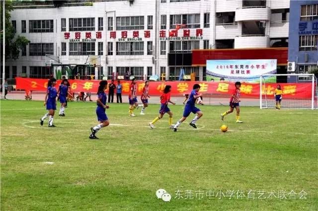东莞市小学生足球比赛直播,2019东莞小学生篮球争霸赛
