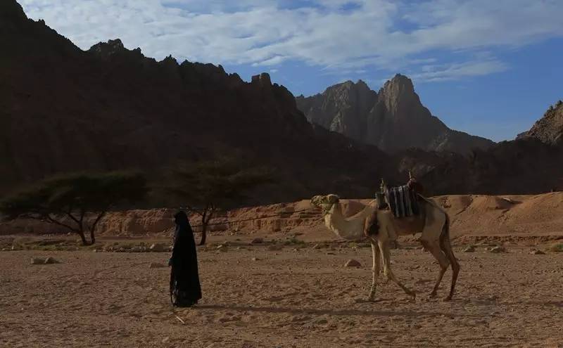 鍒樺ù瓒婂崡鎽勫奖浣滃搧娆ｈ祻,鍩冨強鎽勫奖鑾峰浣滃搧娆ｈ祻