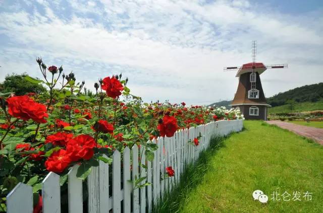 北仑自助农家乐,北仑春晓农家乐攻略