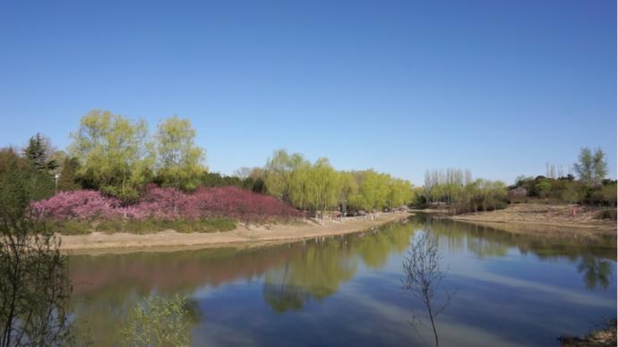 索尼微单a6300是全画幅吗,索尼微单a6300如何连接手机