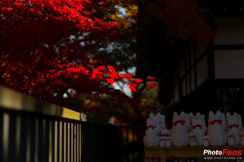 eosm6杩炵画鎷嶆憚,浣宠兘eosm6