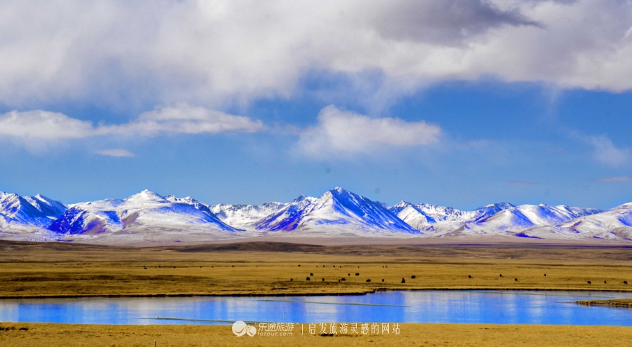 逃离无人区,逃离青海