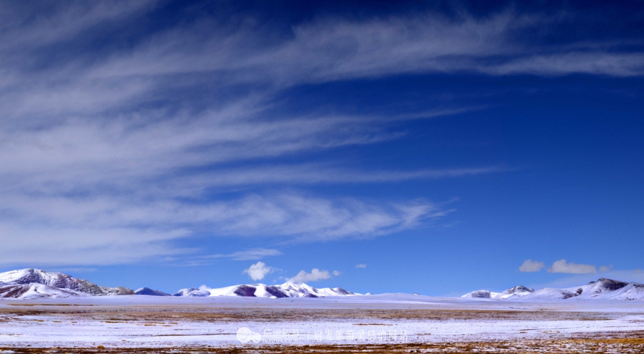 逃离图书馆,逃离方块