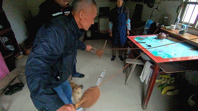 豆瓣日记:寻归“桃源村”:平坑调研琐忆(一)